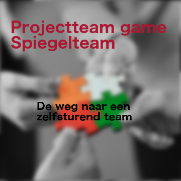 Spiegelteam